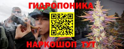гидра Тара