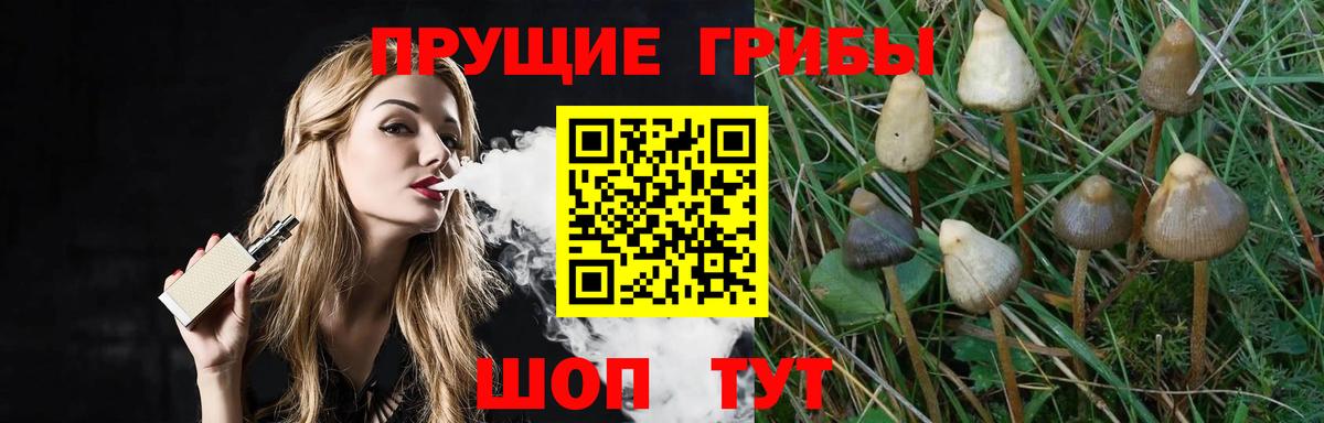 Псилоцибиновые грибы MAGIC MUSHROOMS  Вход с VPN  Острогожск 