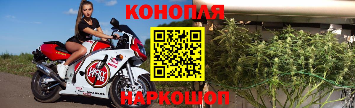 Конопля гибрид  Вход с VPN  Конопля OG Kush  Острогожск  Конопля White Widow 