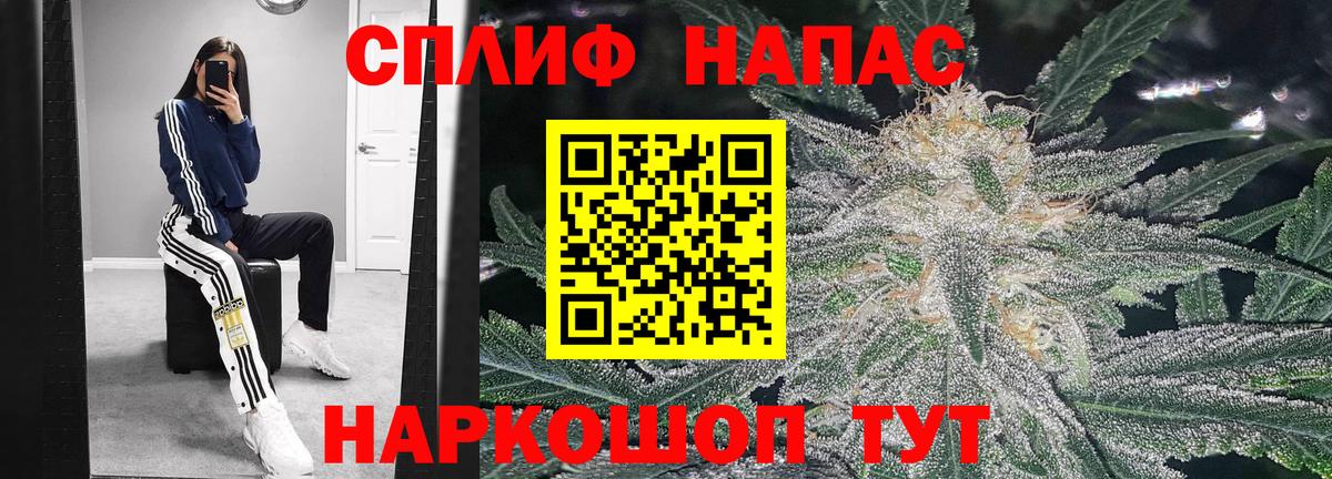 Конопля план Острогожск